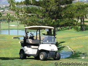 Rent golf car