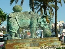 Rhino Puerto Banus